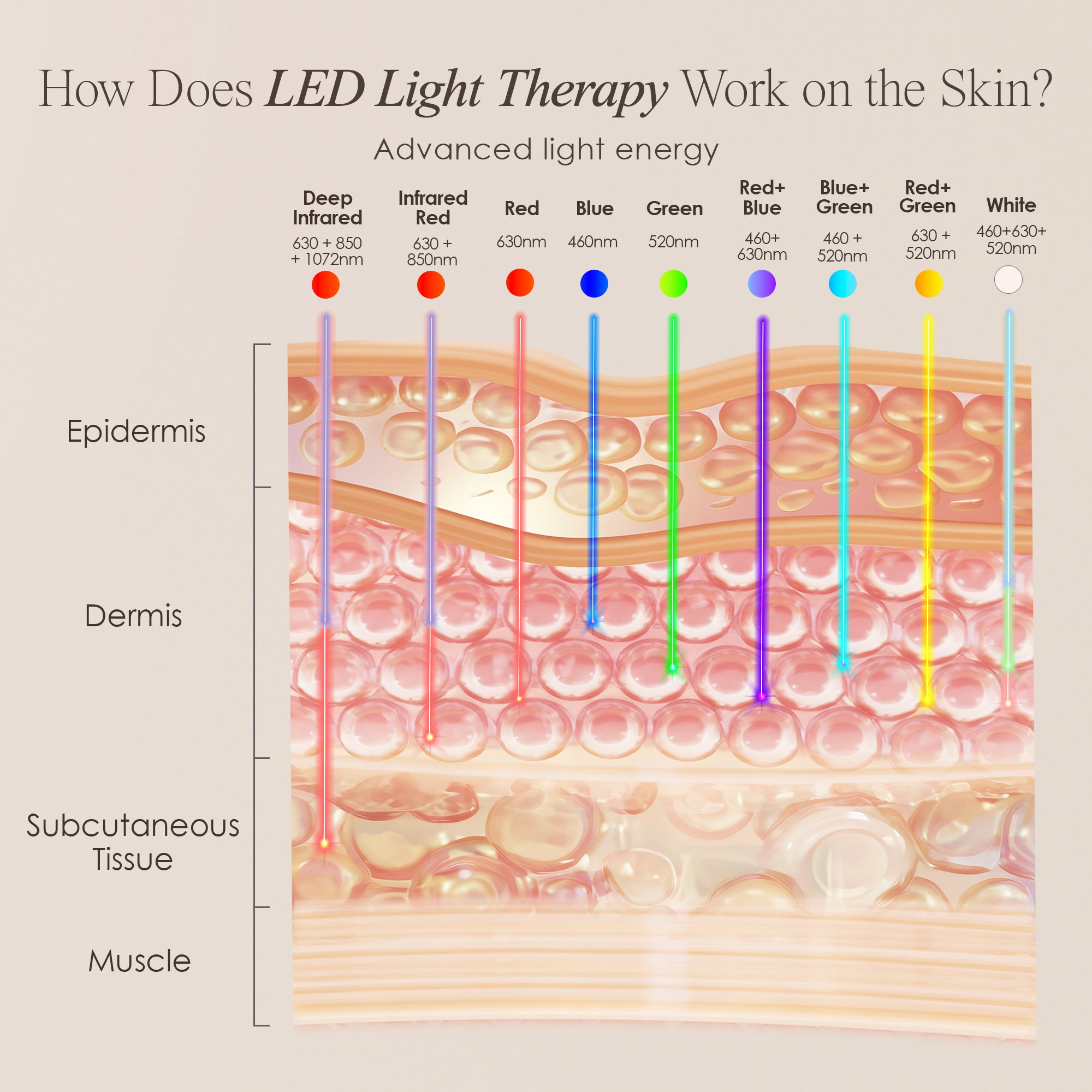 How does LED light therapy work on the skin?