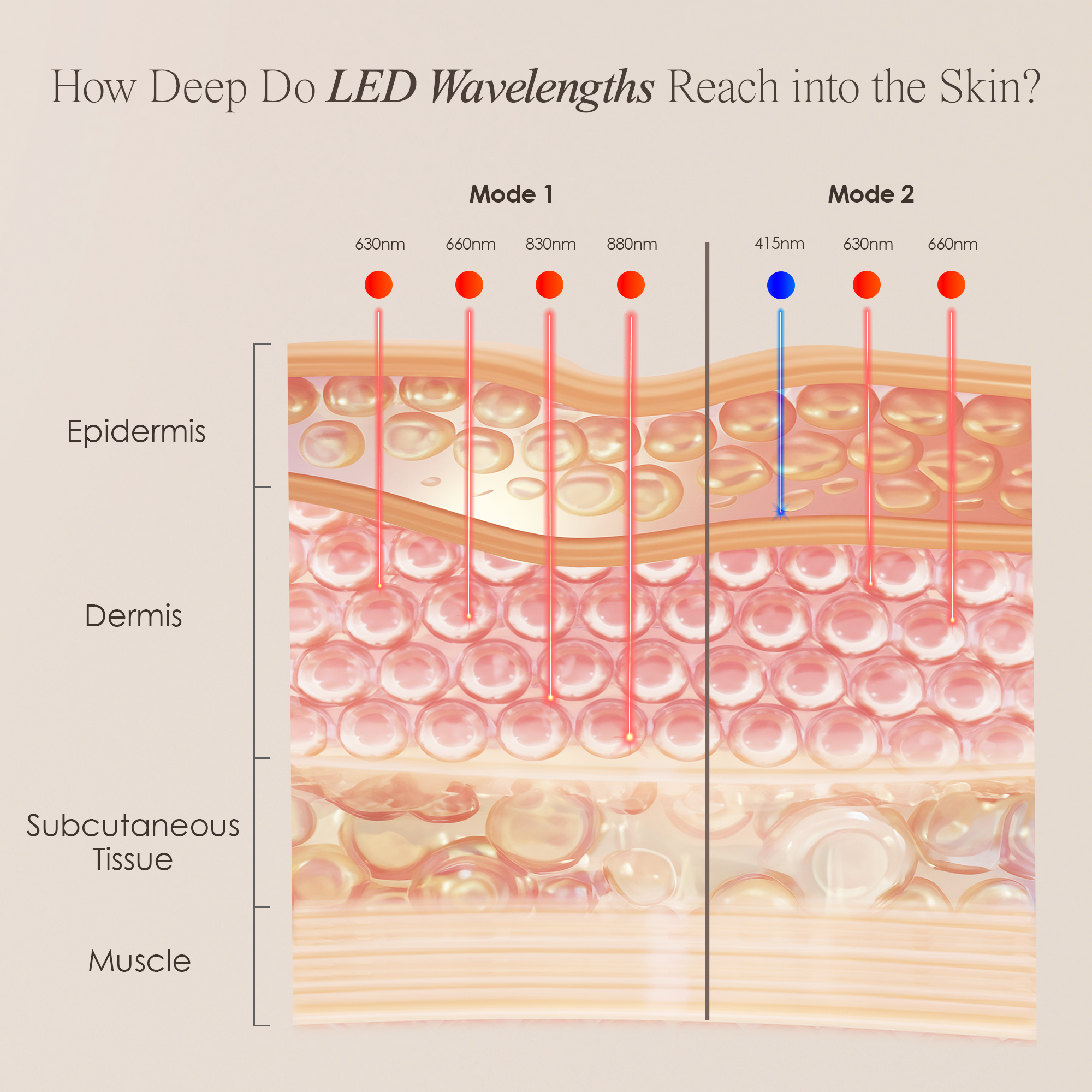 Alora | Age Renewal LED Light Therapy Panel